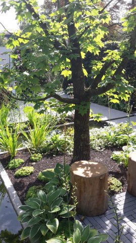 Landesgartenschau 2017